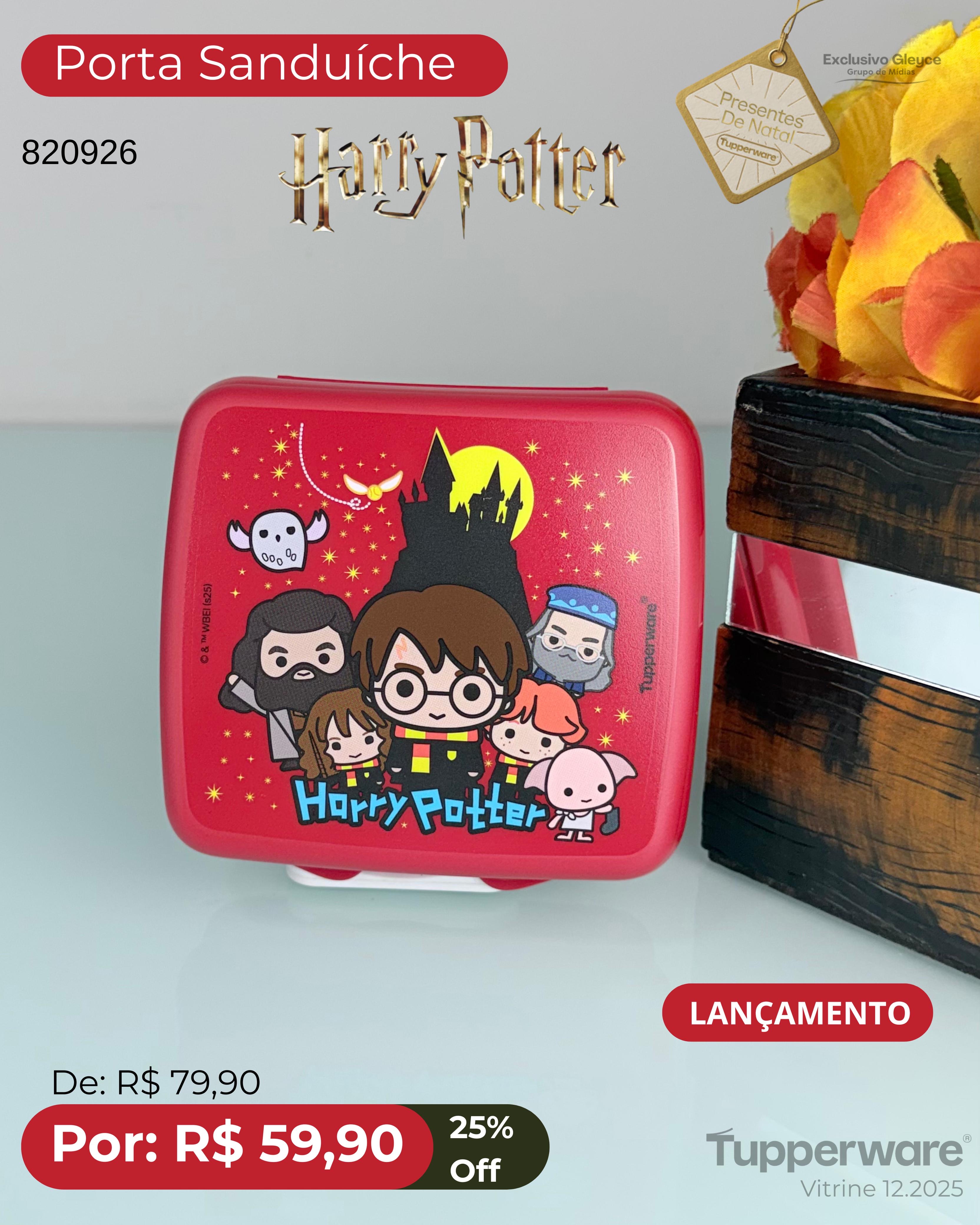 Estojo Tupperware Harry  Potter.